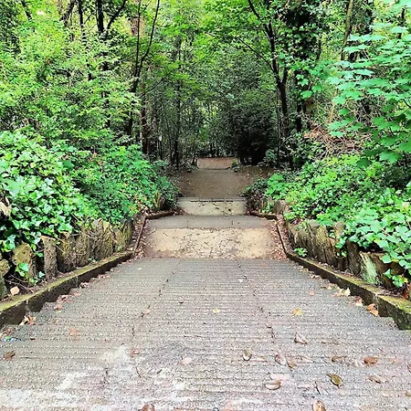 Homestay *rc246*for Your Relaxed & Cosy + Free Parking *